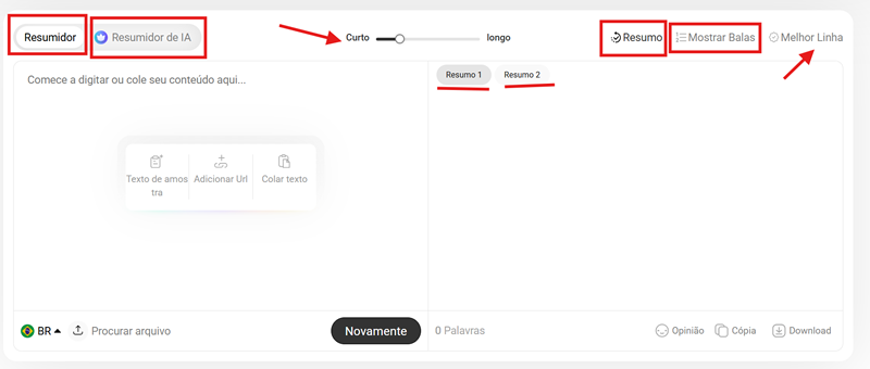 Visual do sistema resumidor de IA na prática.